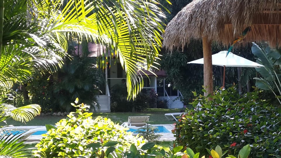 Bungalow Natura Village Chalet in Sosua