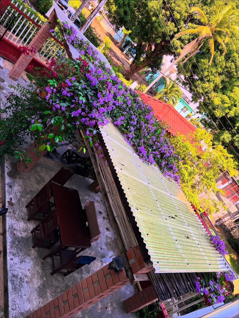 Natural landscape, Garden view, Inner courtyard view