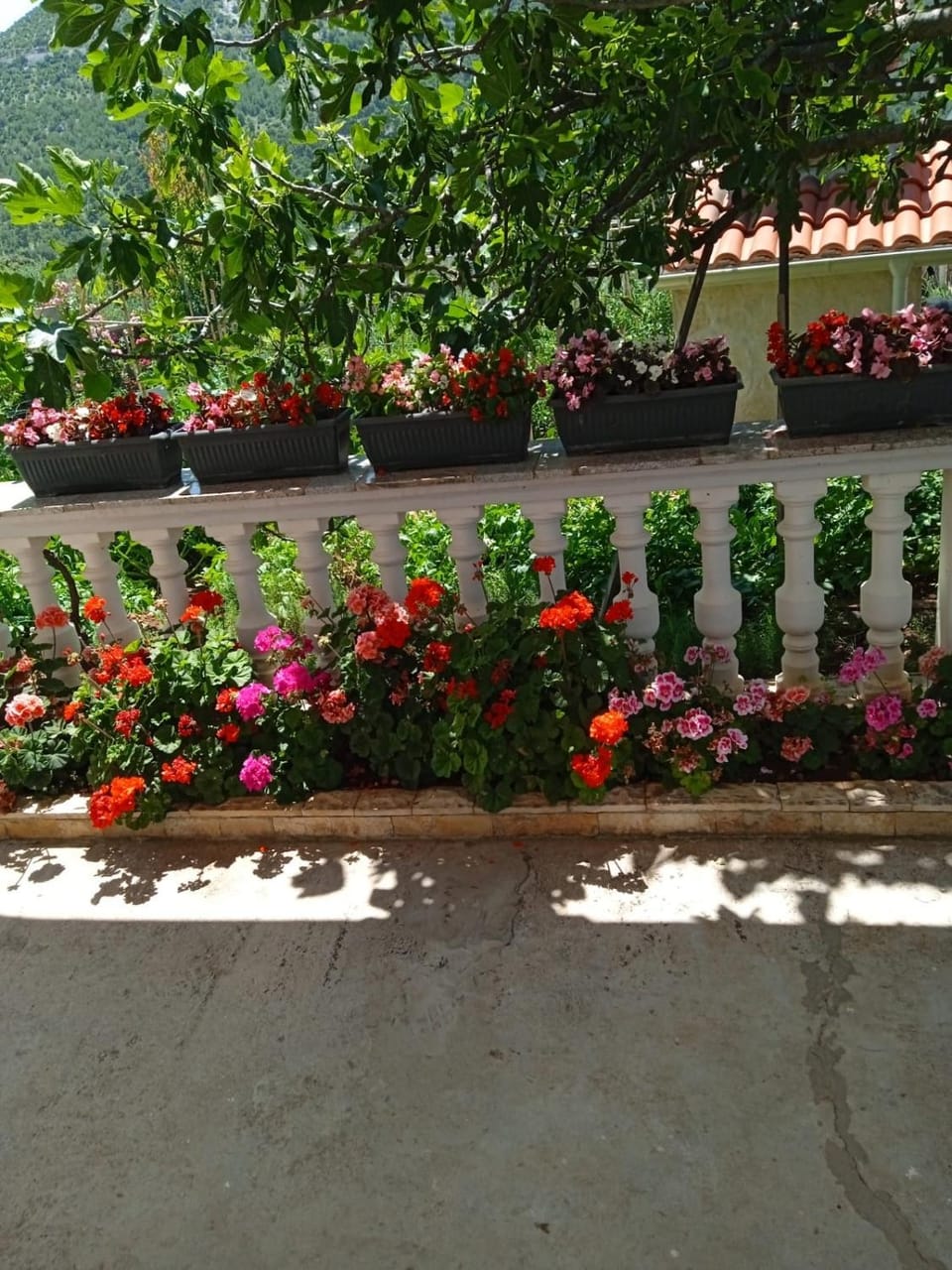 Apartman Mia Apartment in Šibenik-Knin County, Croatia