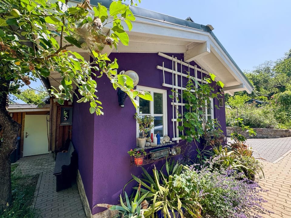 Property building, Day