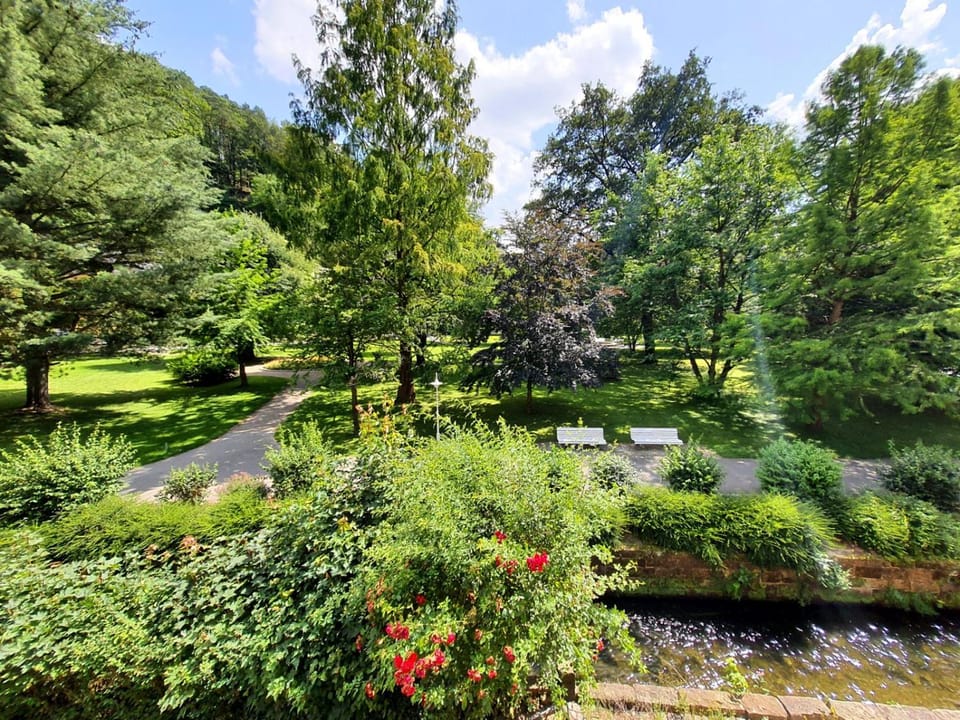 Natural landscape, View (from property/room), Garden view