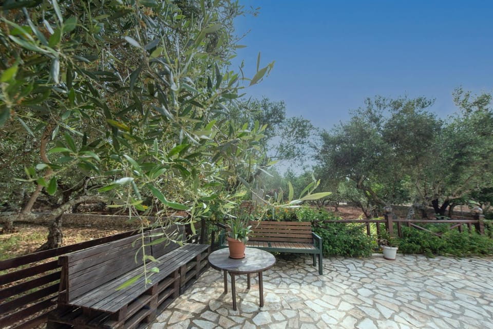 Patio, Spring, Day, Garden, Garden, Garden view