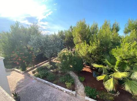 Garden, Garden view