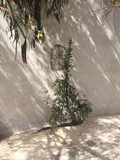 Studio III at orig. Finca,, sea views Apartment in Isla de Lanzarote