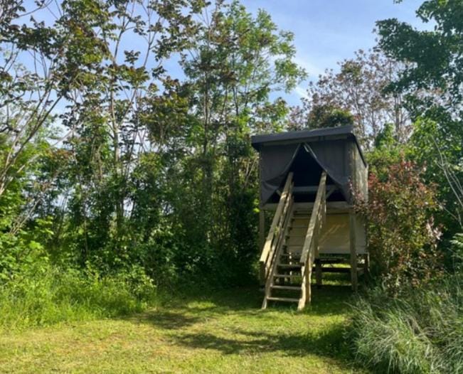 Natural landscape, Garden, Photo of the whole room