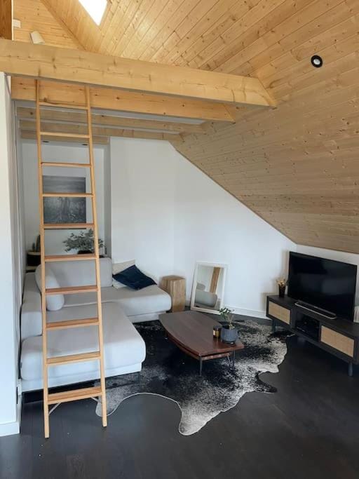 Bed, TV and multimedia, Living room, Photo of the whole room, Bedroom
