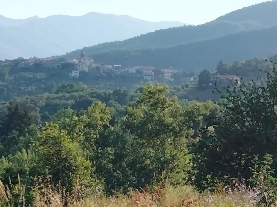 Natural landscape