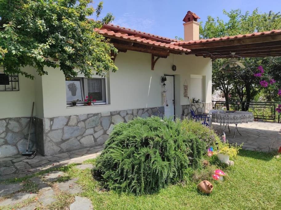 Property building, Day, Garden, Garden view