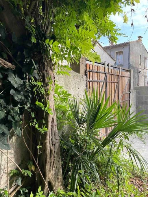 Castelnaudary a pied en bord du canal du midi T2 cosy avec jardin proche gare et hopital Apartment in Castelnaudary