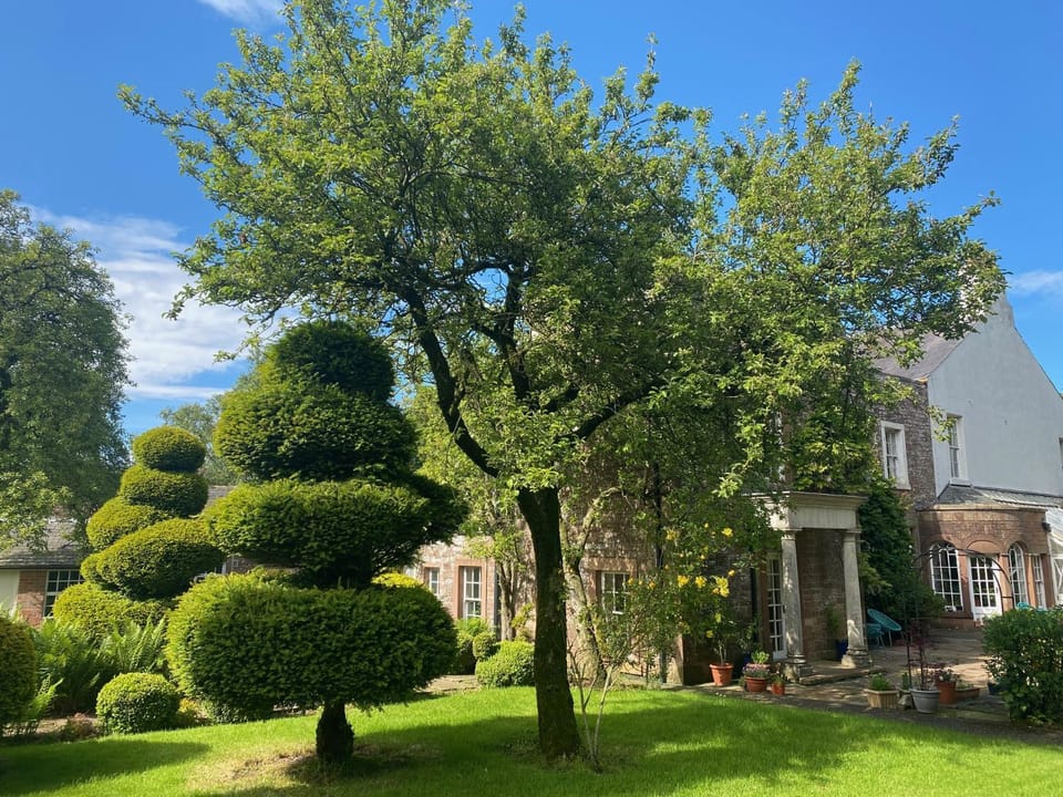 Property building, Natural landscape, Garden, Garden view