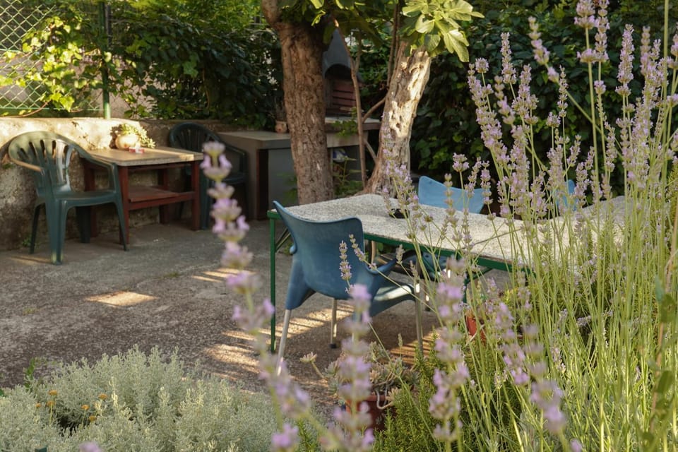 Day, Garden, Garden view