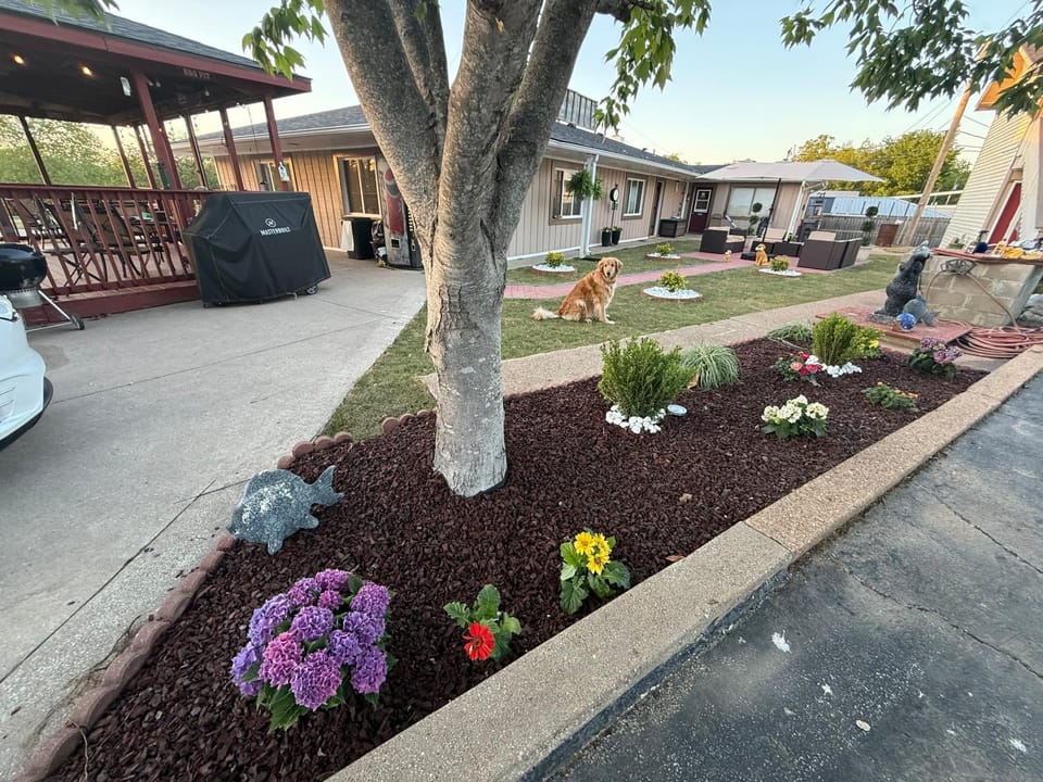 Property building, Natural landscape, Garden, Garden view