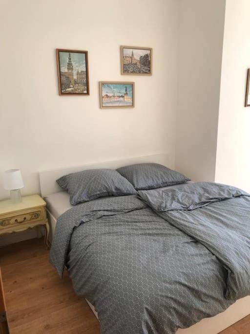 Prostorny byt 2+1 primo v centru Apartment in Czechia