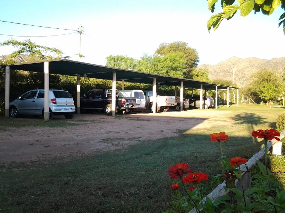 Day, Other, Area and facilities