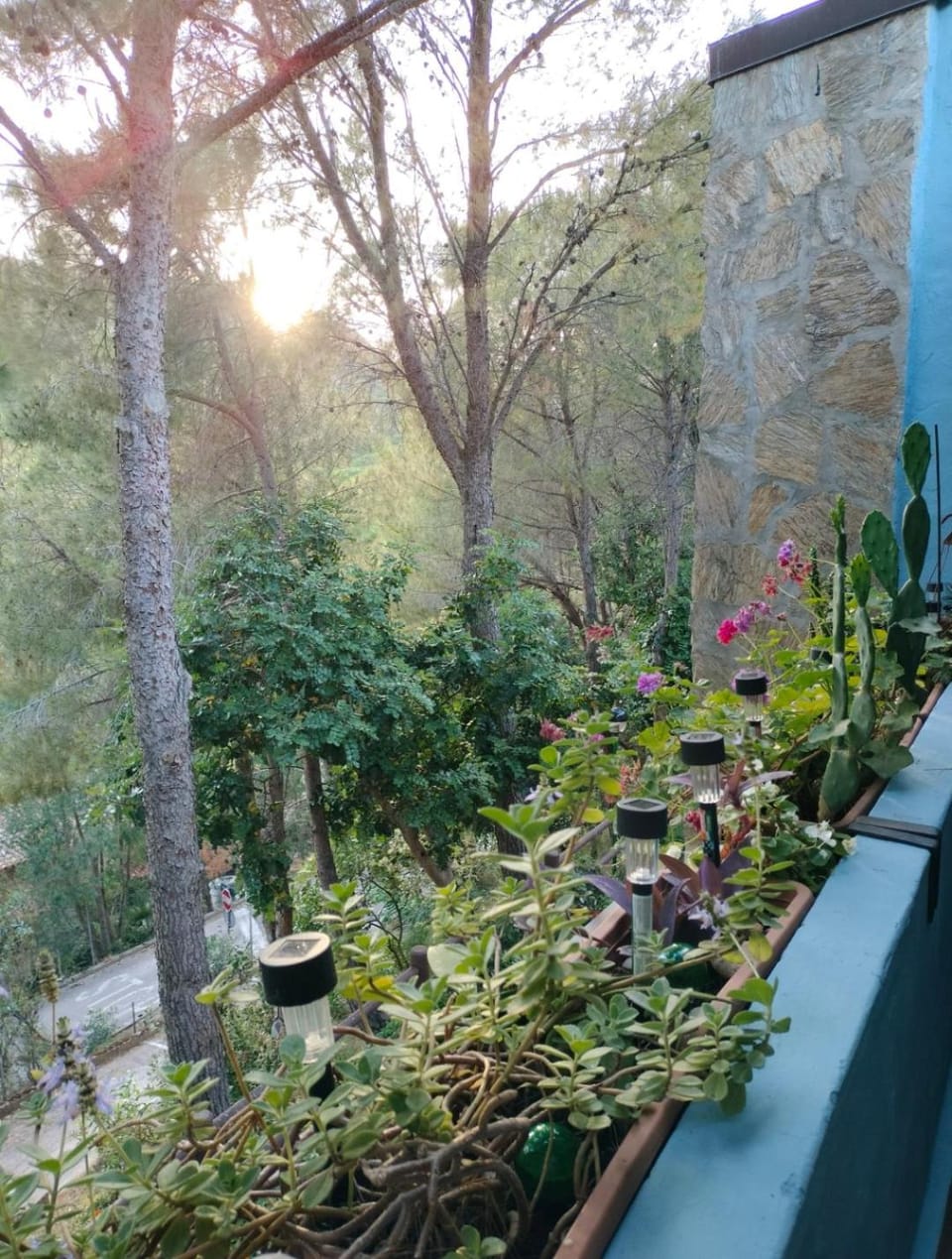 DomuNosta Pinus Village Apartment in Sardinia