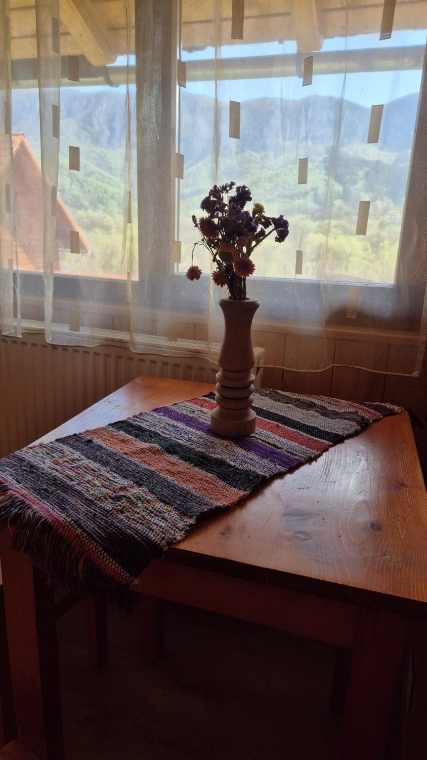 Pensiunea codru Bed and Breakfast in Cluj County