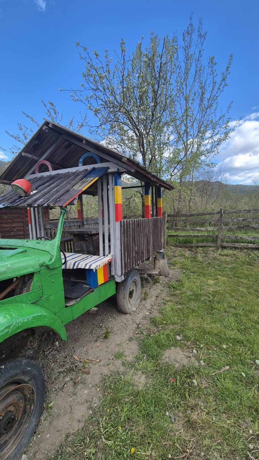 Pensiunea codru Bed and Breakfast in Cluj County