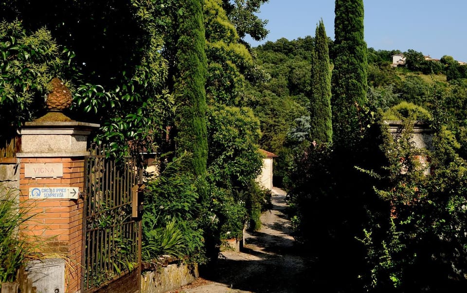 Spring, Day, Garden, Garden view