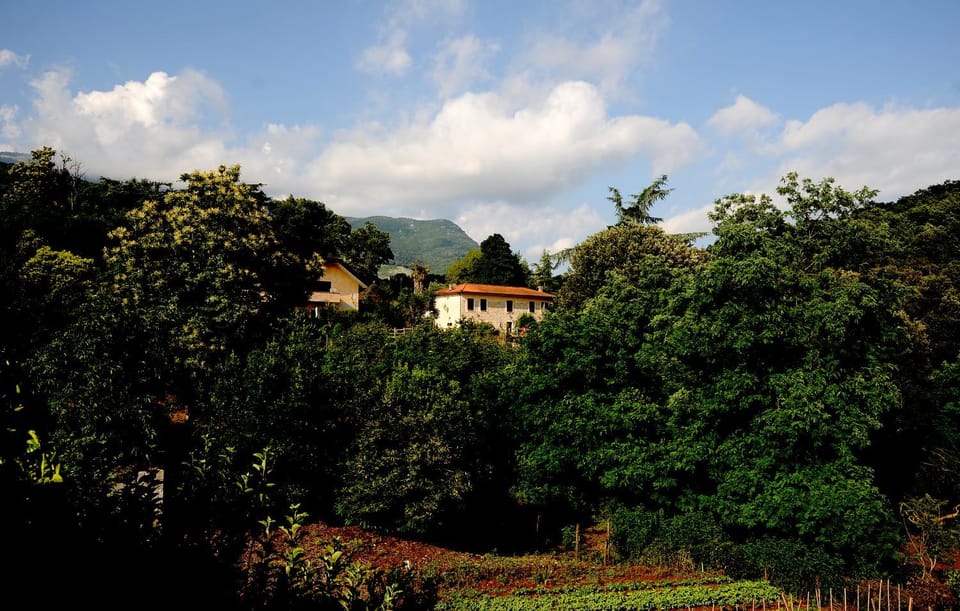 Property building, Spring, Day, Natural landscape, Mountain view