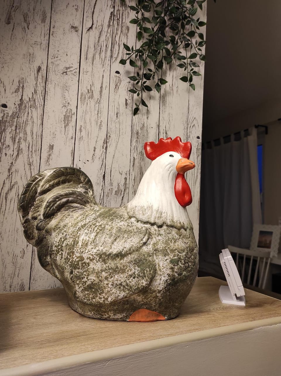 Animals