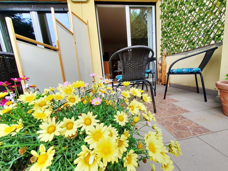 Garden, Balcony/Terrace, Seating area, Garden view