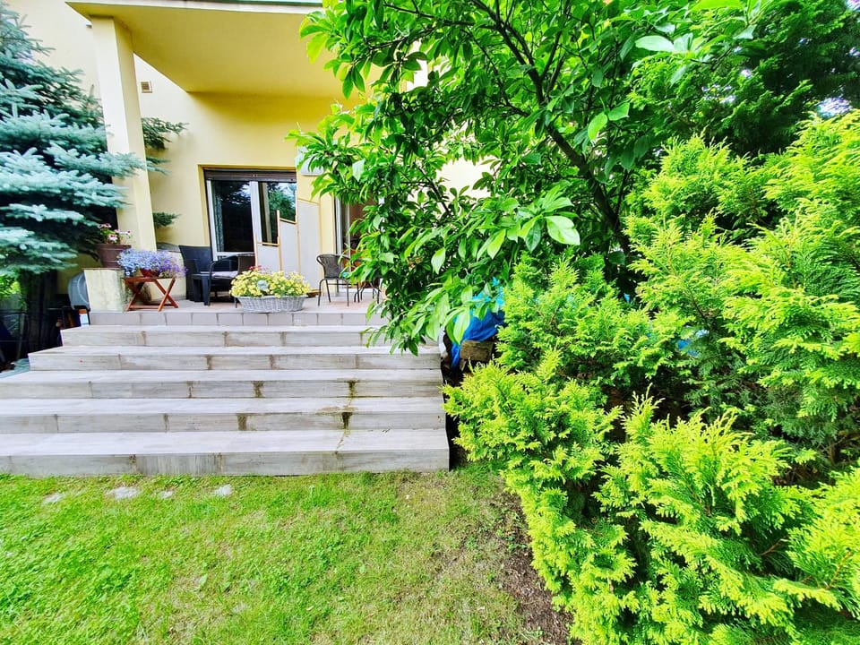 Garden, Balcony/Terrace, Garden view