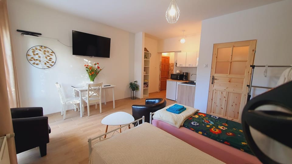 Bed, TV and multimedia, Kitchen or kitchenette, Living room, Photo of the whole room