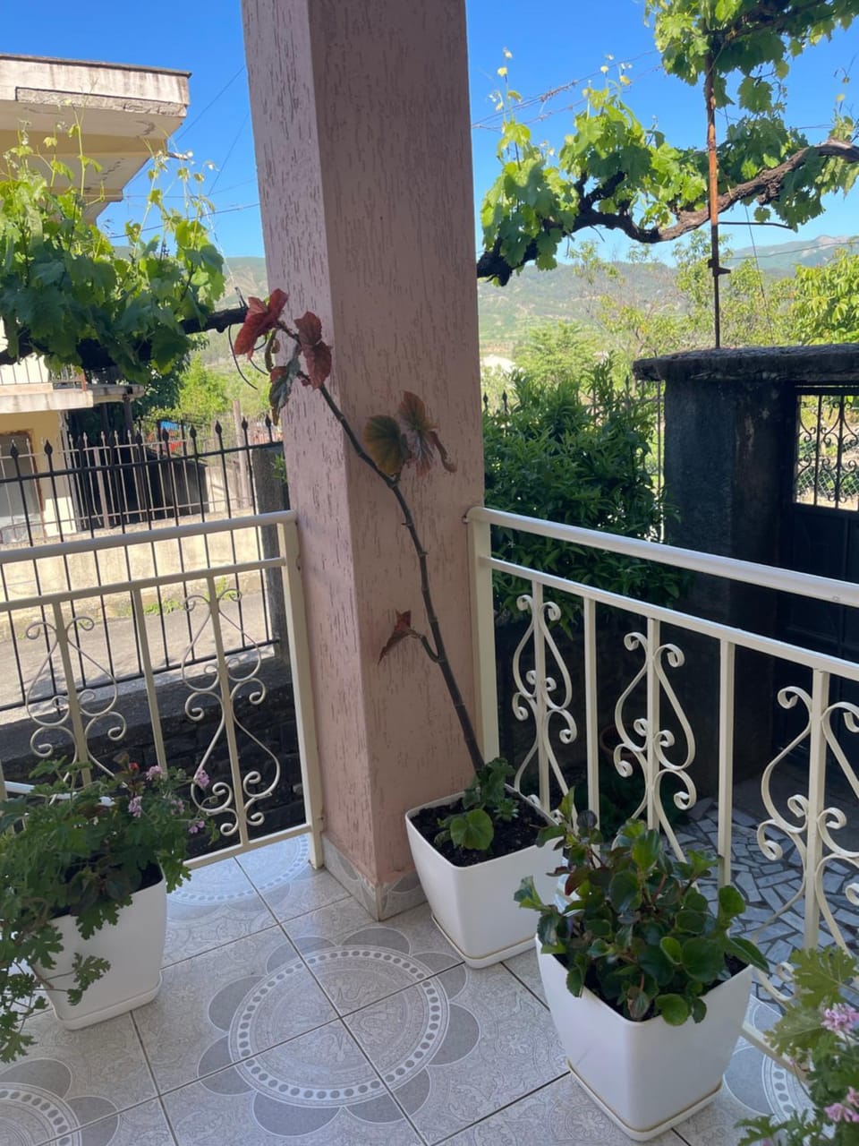 eljos house permet Bed and Breakfast in North Macedonia