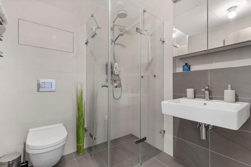 Shower, Toilet, Bathroom, towels