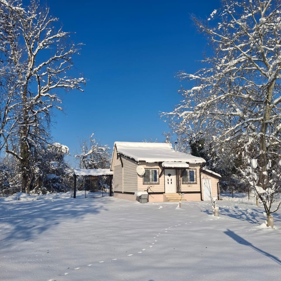 Drinska Ljepotica House in Serbia