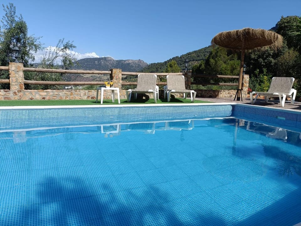 Swimming pool, sunbed