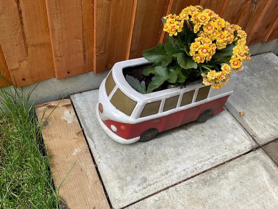 Garden, Garden