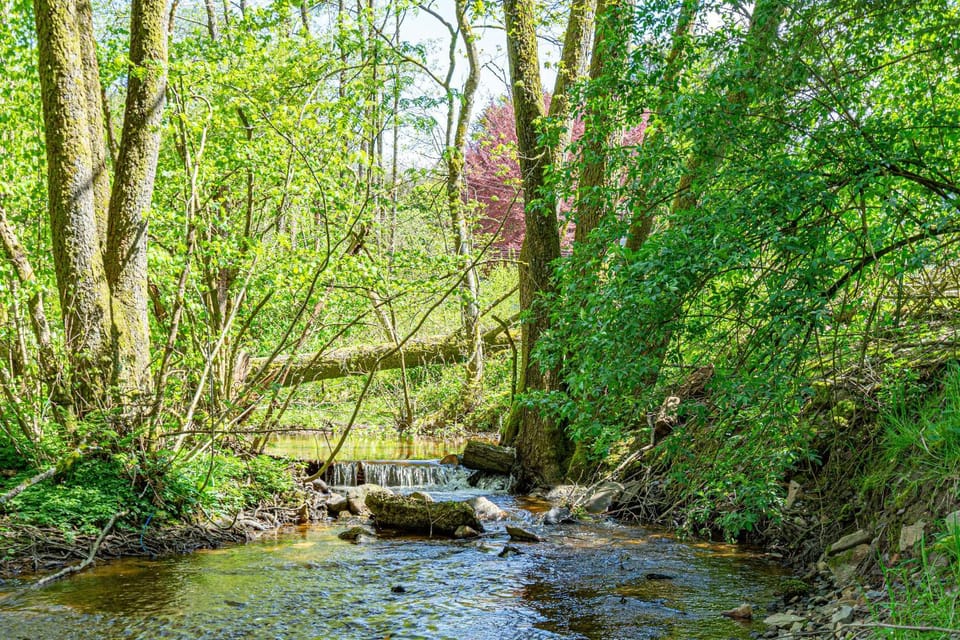 Natural landscape, Fishing, Garden, River view