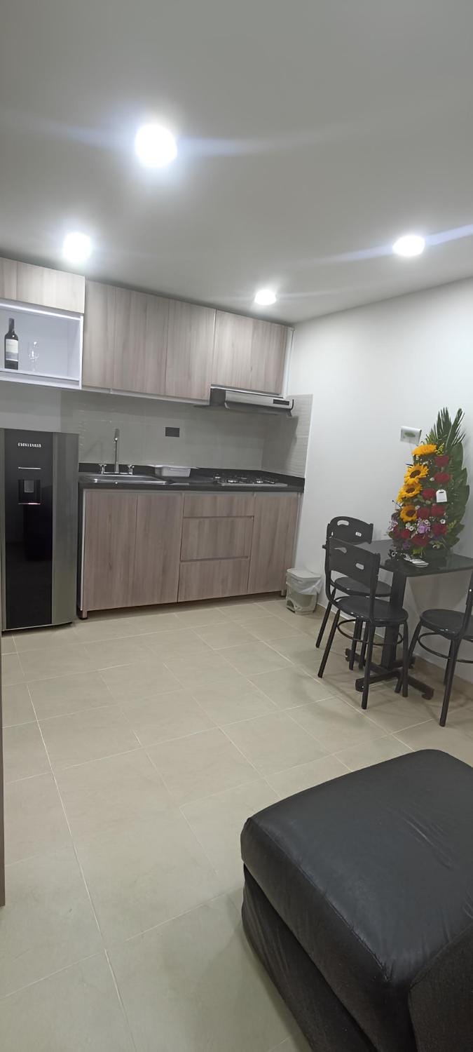 Living room, Seating area, Dining area, minibar, stove