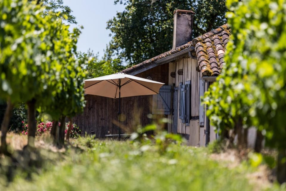 Lascannes House in Occitanie