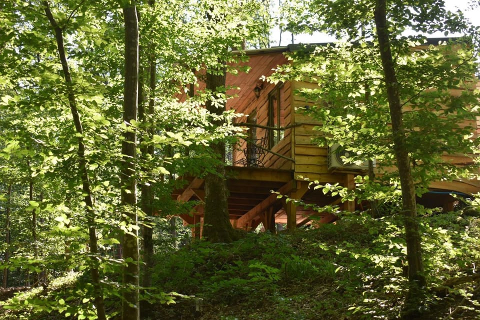 Property building, Natural landscape, Garden, Garden view