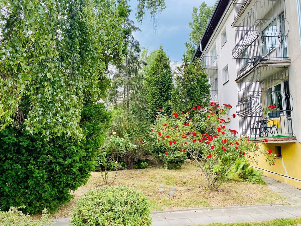 Property building, Spring, Day, Natural landscape, Garden, Garden view