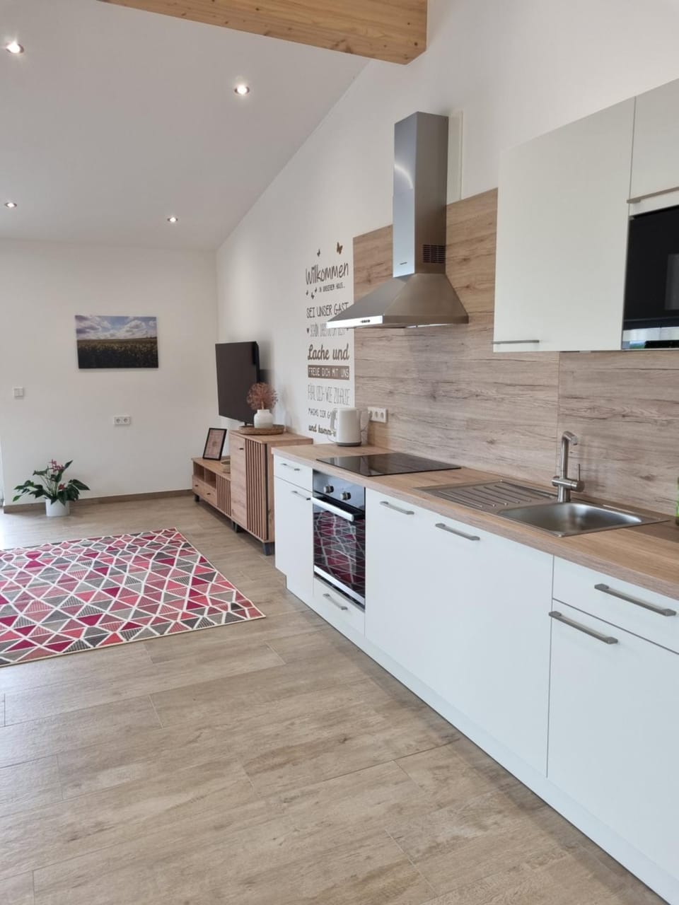 TV and multimedia, Kitchen or kitchenette, dishwasher, minibar, pet friendly, stove