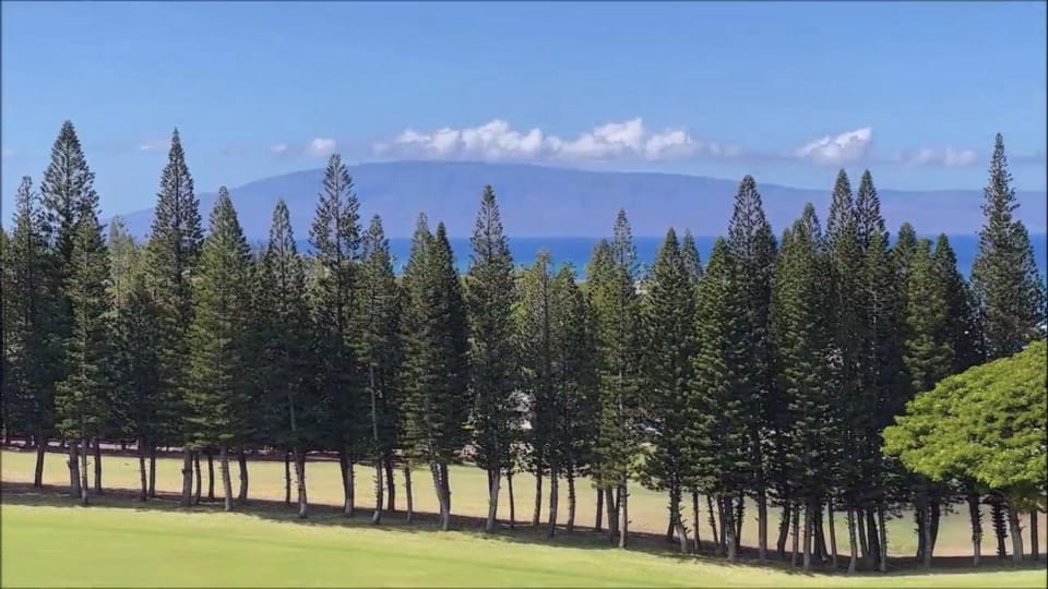 Kapalua Golf Villa 12V 1 Apartment in Kapalua