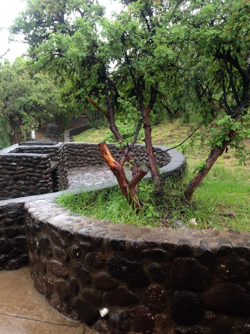 Natural landscape, Garden