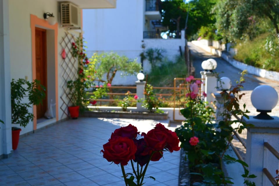 Facade/entrance, Garden