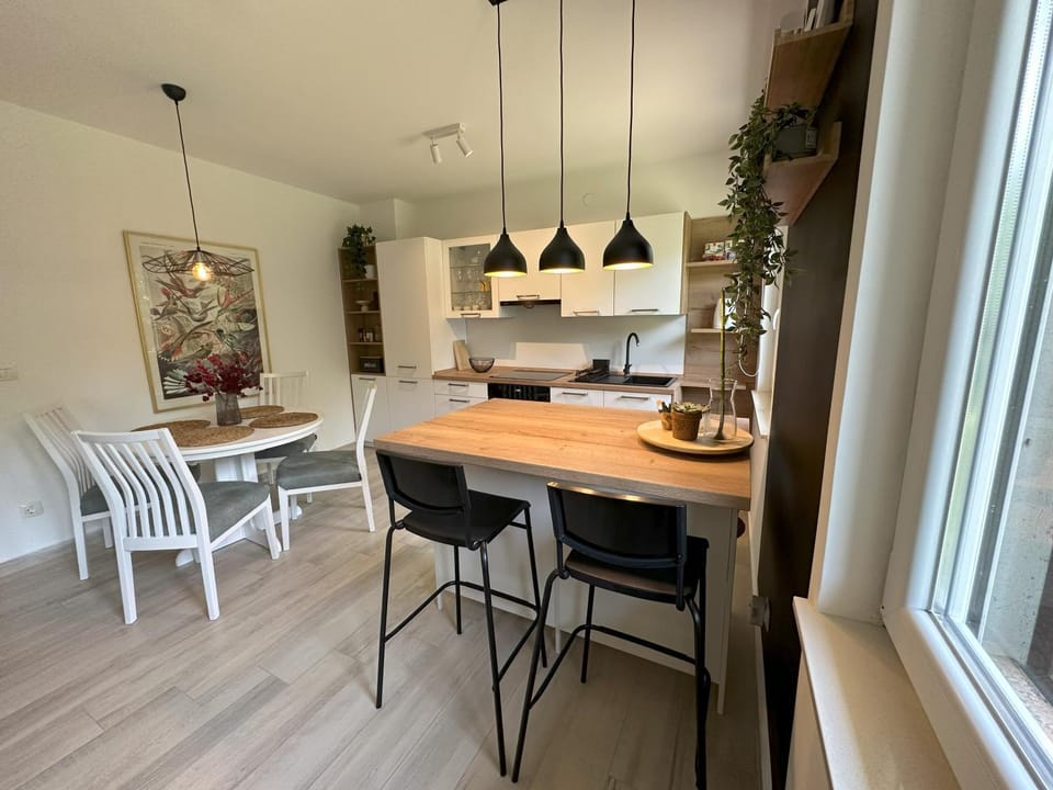 Kitchen or kitchenette, Seating area, Dining area, Area and facilities