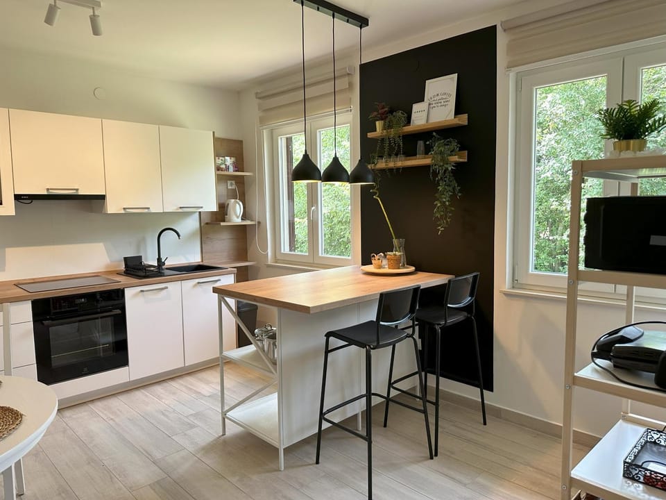 TV and multimedia, Kitchen or kitchenette, Dining area, dishwasher, minibar, pet friendly, toaster