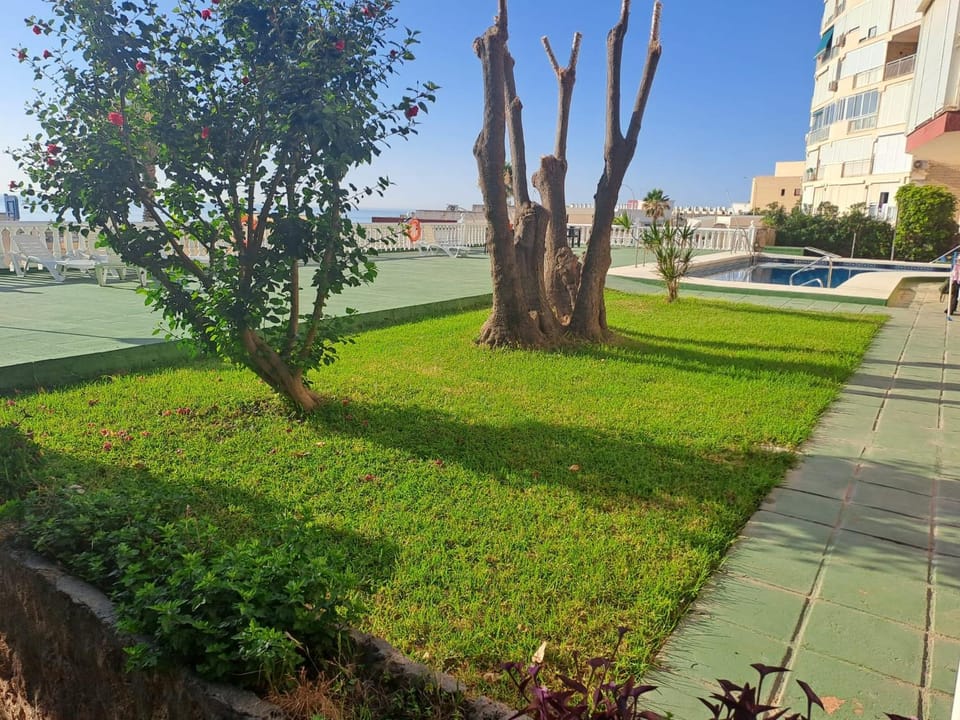 Garden, Garden view