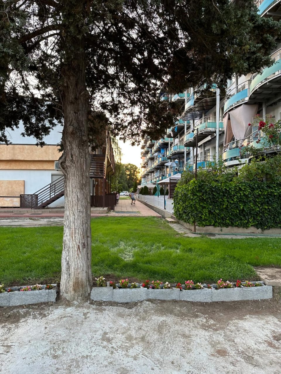Day, Natural landscape, Garden, Garden, Parking
