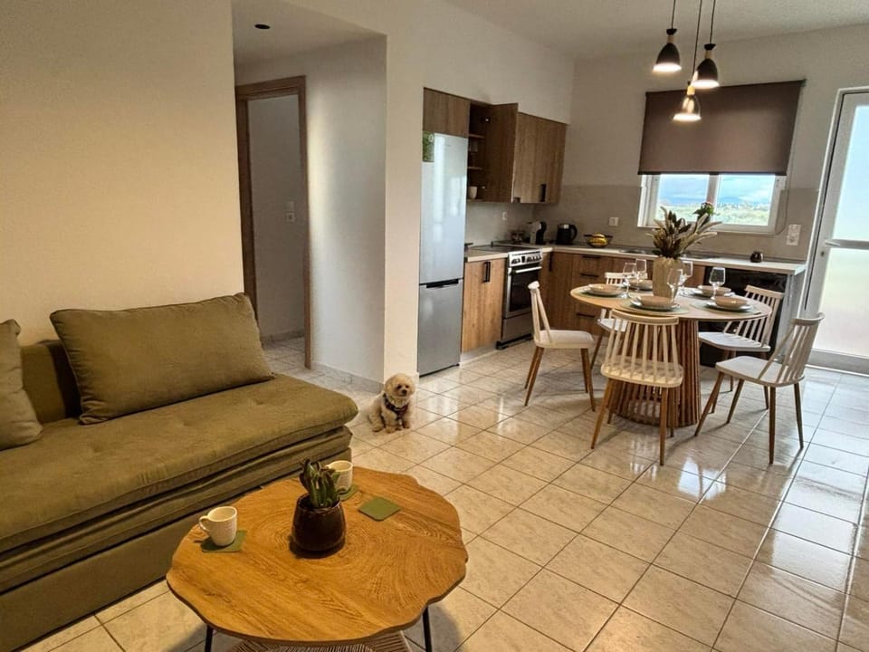 Living room, kitchen