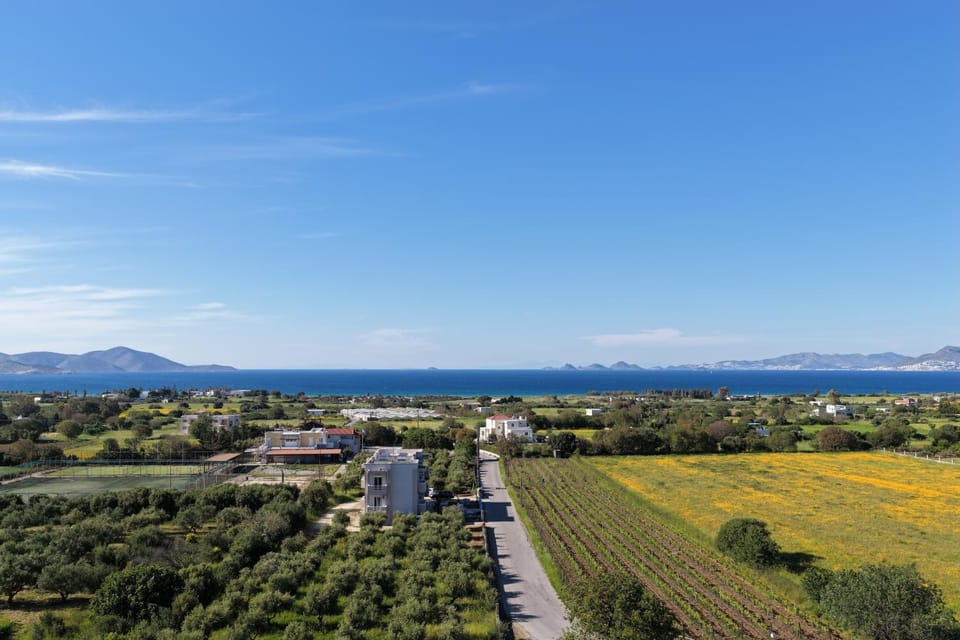 Natural landscape, Bird's eye view, View (from property/room)