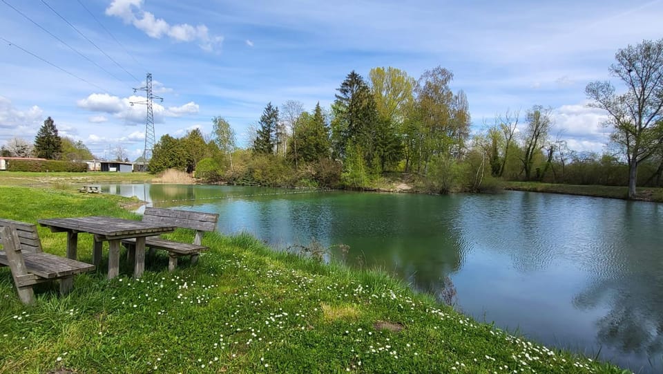 Day, Natural landscape, Lake view
