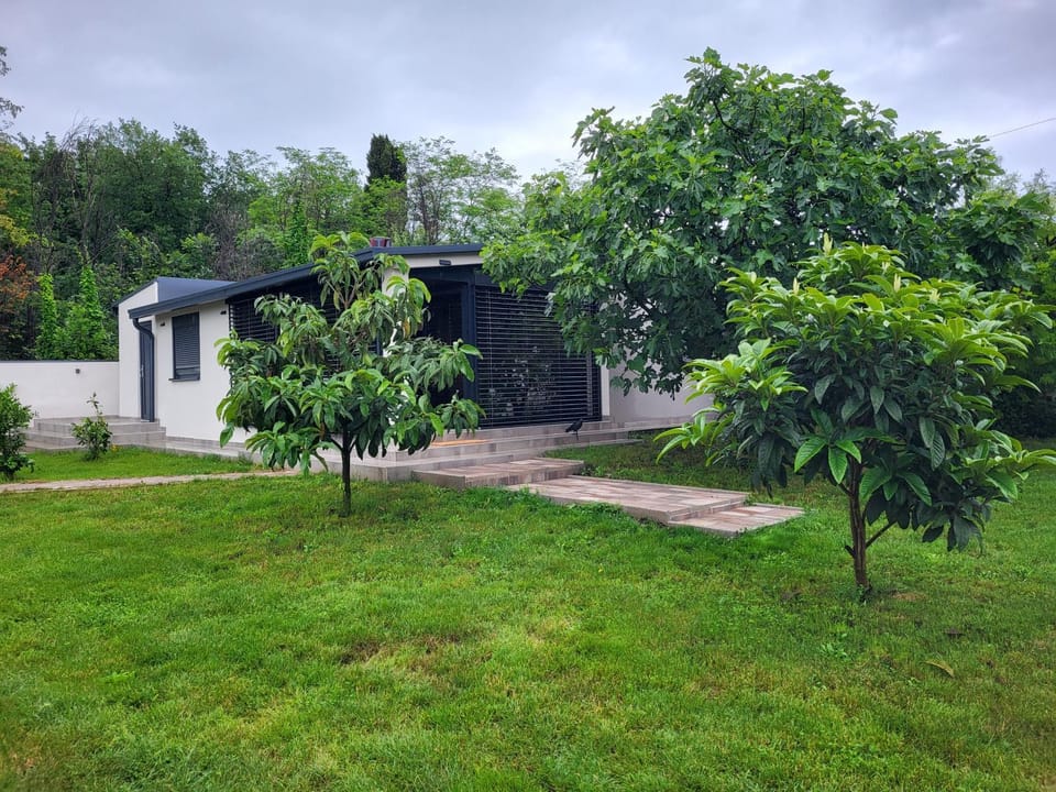 Day, Garden