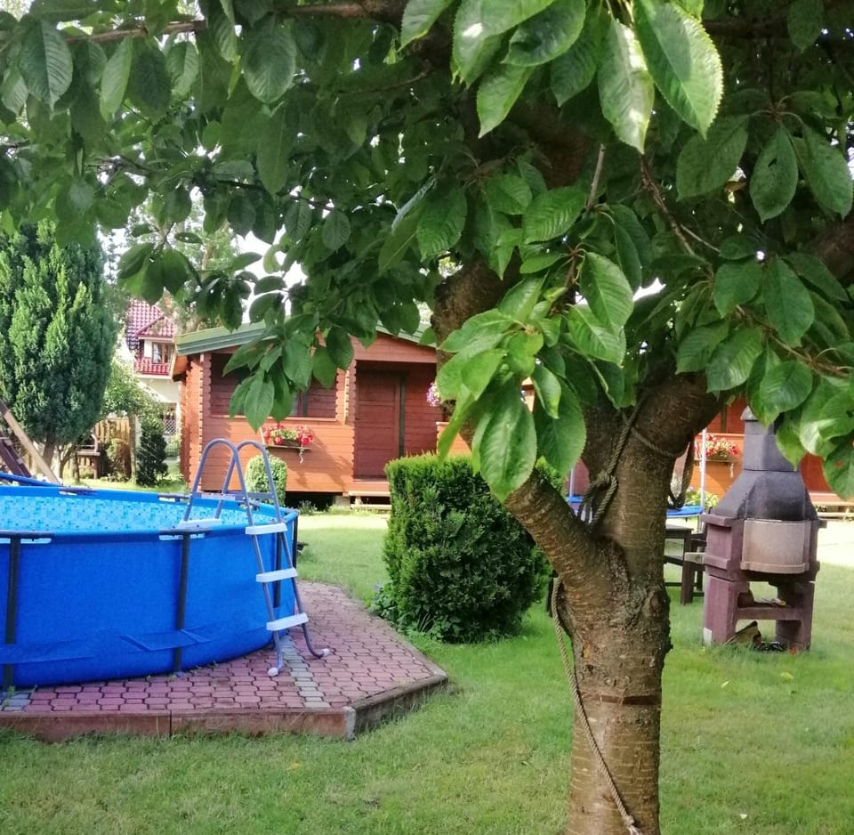 Activities, Garden